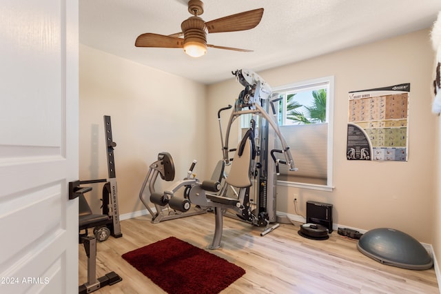 workout area with light hardwood / wood-style flooring and ceiling fan