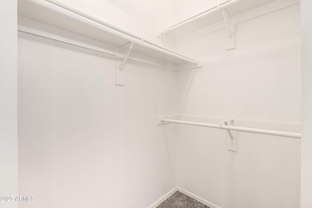 22125 N 29th Ave Unit 158, Phoenix, AZ 85027 - spacious closet with carpet flooring