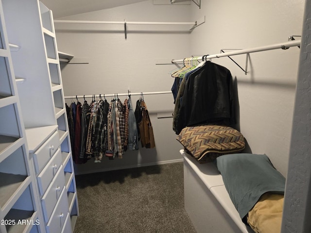 9016 W Fossil Creek Rd, Pine, AZ 85544 - walk in closet with carpet