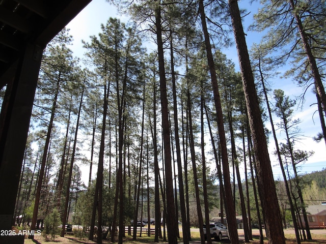 9016 W Fossil Creek Rd, Pine, AZ 85544 - exterior space