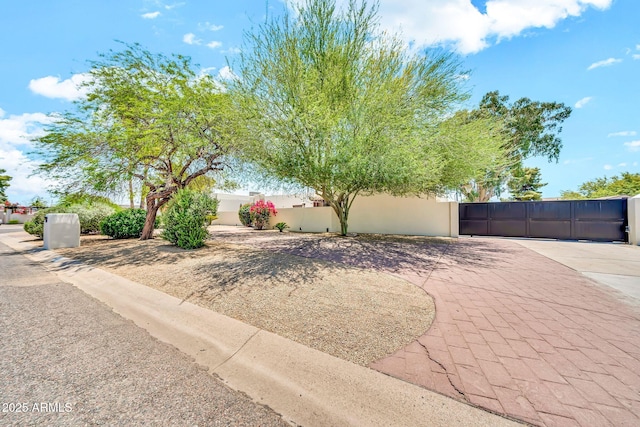 6215 E Surrey Ave, Scottsdale, AZ 85254 - view of yard featuring a gate