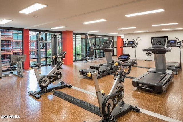 4808 N 24th St Unit 230, Phoenix, AZ 85016 - workout area featuring expansive windows