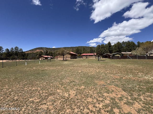 9107 W Fossil Creek Rd, Strawberry, AZ 85544 - view of yard featuring a mountain view