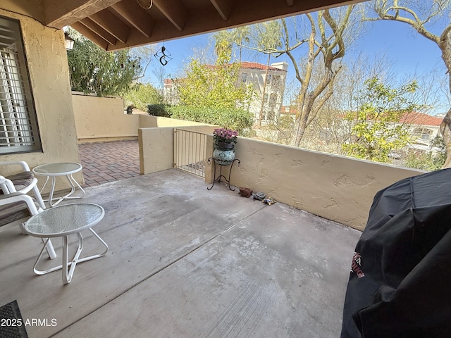 view of patio / terrace with grilling area