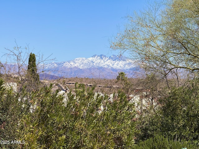 view of mountain feature