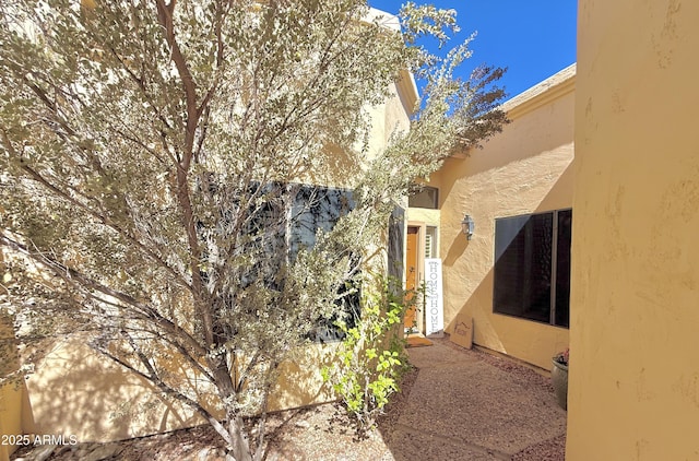 view of property exterior with stucco siding