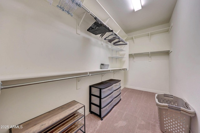 spacious closet with carpet