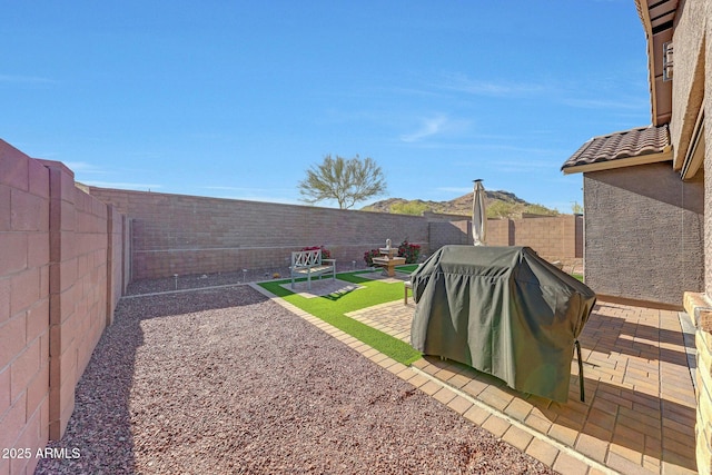 view of yard featuring a patio area and a fenced backyard