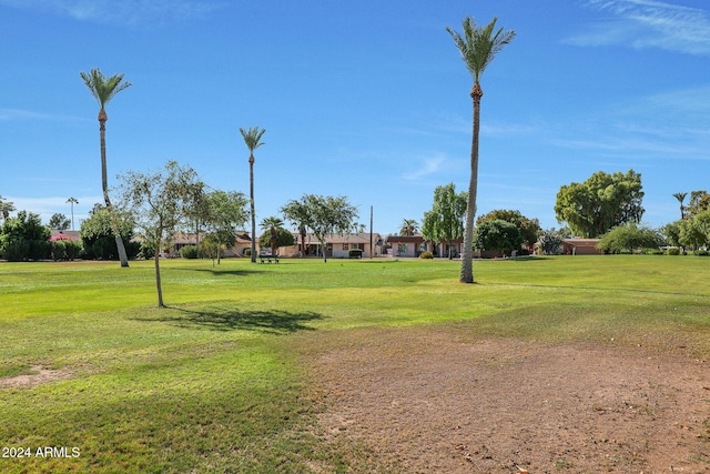 view of property's community with a yard