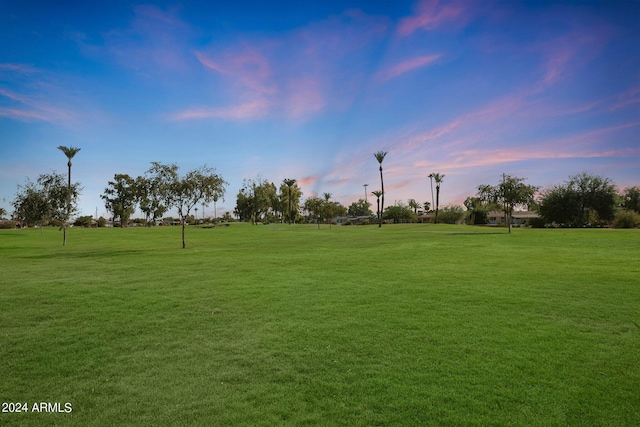 view of yard at dusk