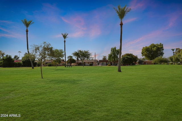 view of yard at dusk