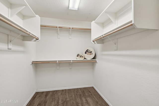 spacious closet featuring dark wood-type flooring