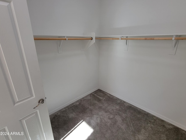 spacious closet featuring dark colored carpet