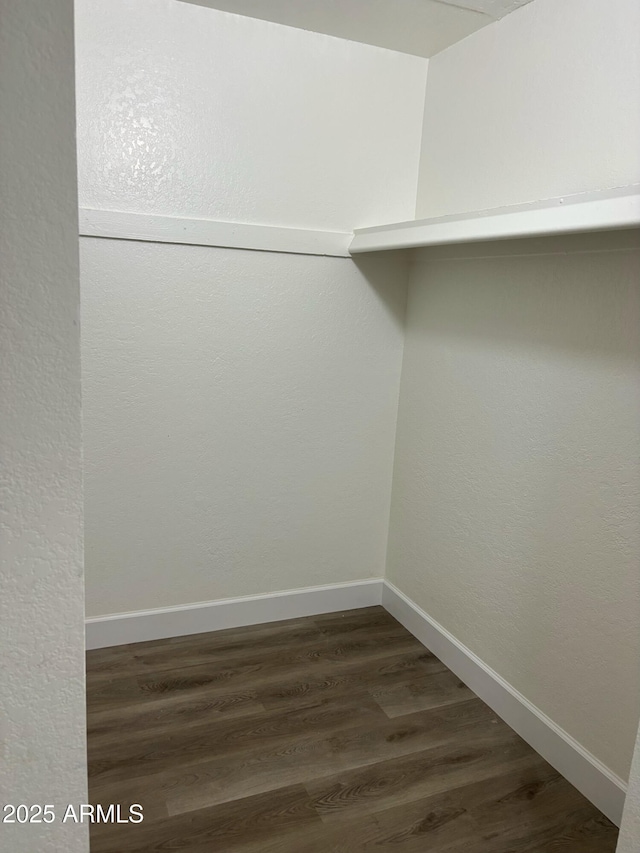 walk in closet featuring dark hardwood / wood-style flooring