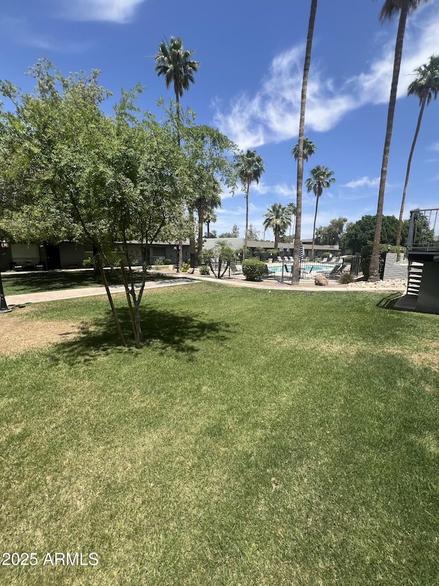 view of yard with a swimming pool