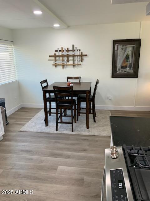 dining room with light hardwood / wood-style floors