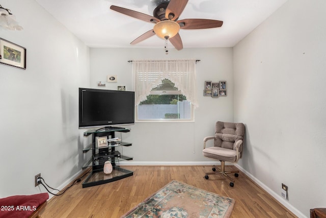 office featuring wood-type flooring and ceiling fan