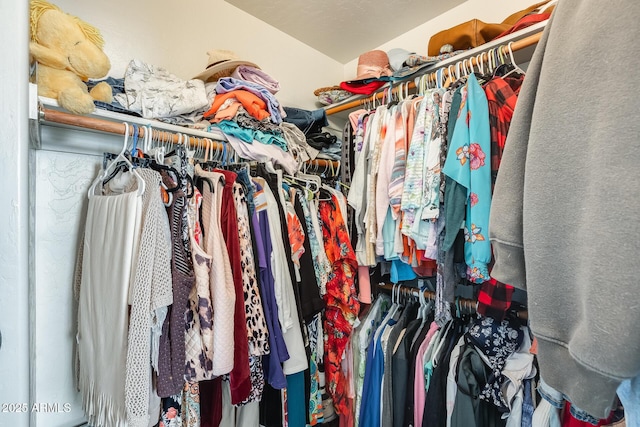 view of spacious closet