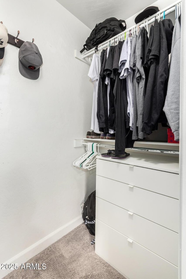 walk in closet featuring carpet flooring