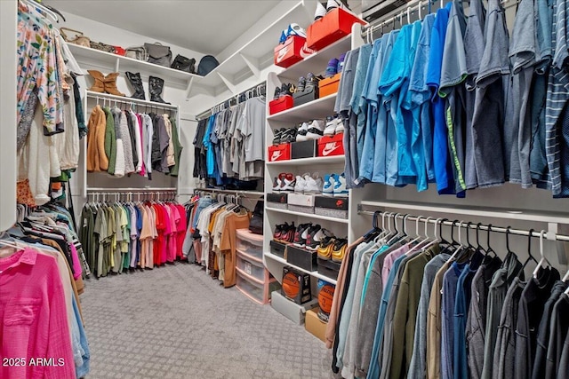 spacious closet with carpet floors