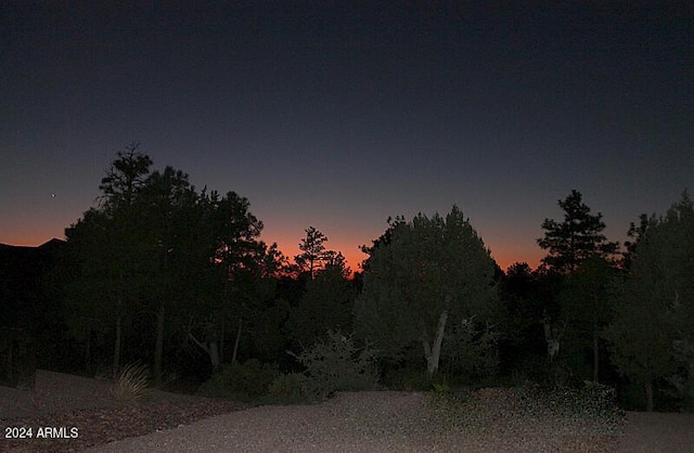 860 W Snow Creek Trl, Show Low, AZ 85901 - view of nature at dusk