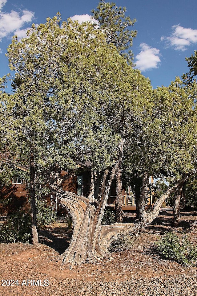 860 W Snow Creek Trl, Show Low, AZ 85901 - view of yard