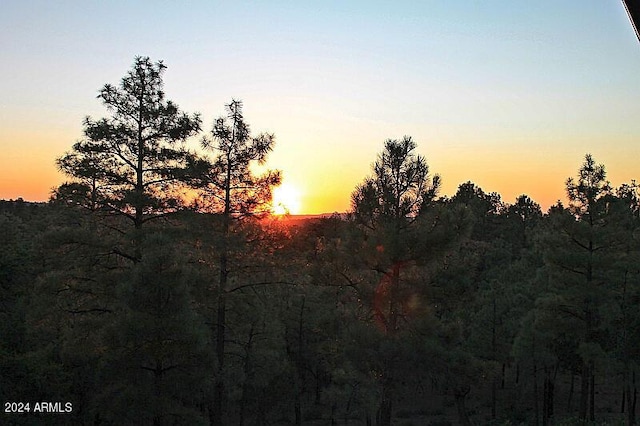860 W Snow Creek Trl, Show Low, AZ 85901 - view of nature at dusk