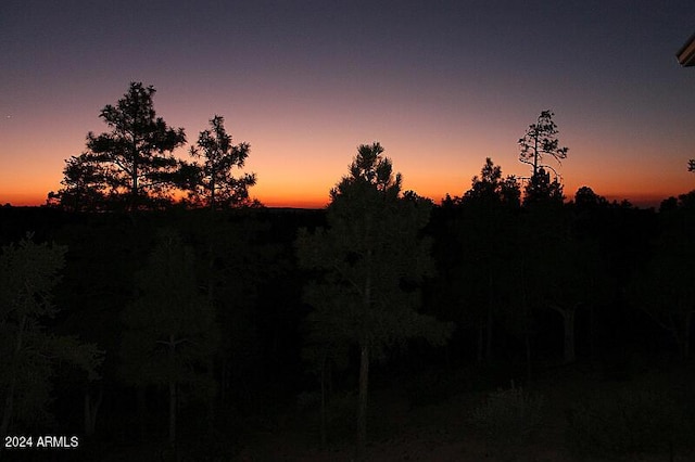 860 W Snow Creek Trl, Show Low, AZ 85901 - view of nature