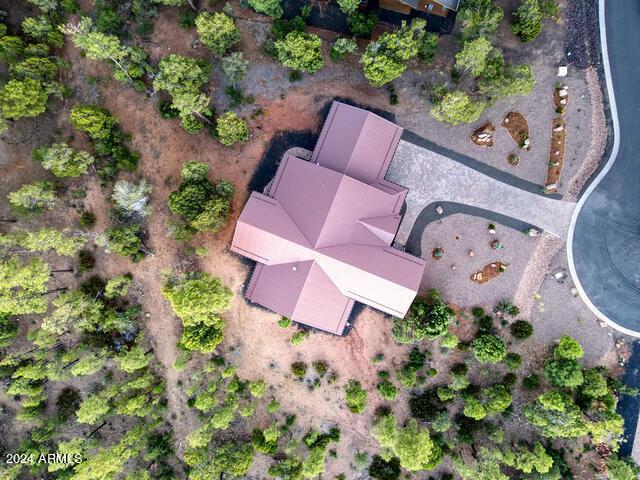 860 W Snow Creek Trl, Show Low, AZ 85901 - aerial view