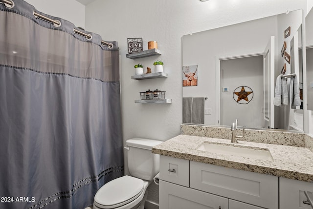 bathroom featuring curtained shower, vanity, and toilet