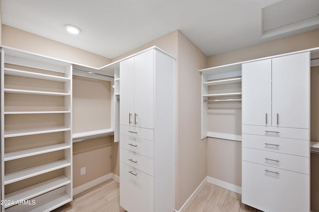 spacious closet featuring light wood-style floors