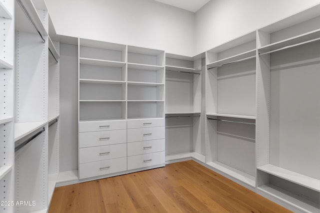 10760 W Golddust Dr, Queen Creek, AZ 85144 - spacious closet featuring light wood finished floors