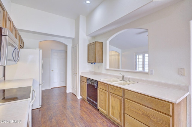 kitchen featuring dishwasher, dark hardwood / wood-style floors, and sink