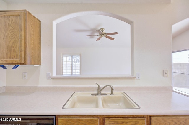 kitchen featuring ceiling fan, a healthy amount of sunlight, dishwasher, and sink