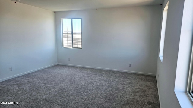 spare room with carpet floors