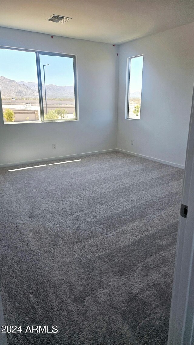 unfurnished room with carpet