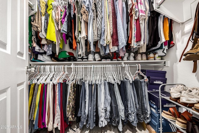 view of walk in closet