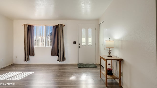 entryway with hardwood / wood-style floors