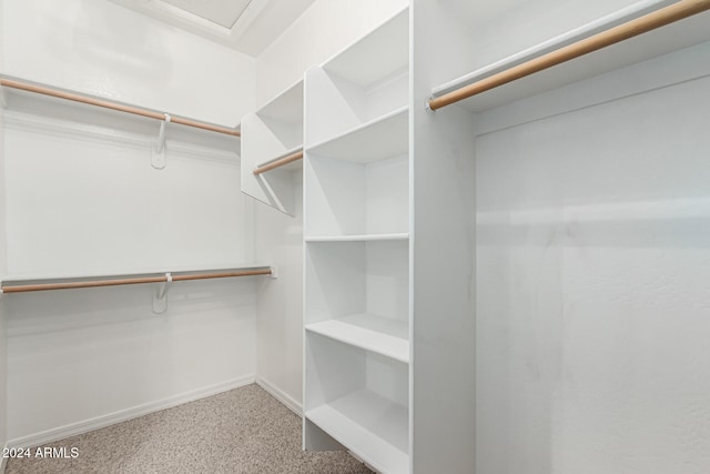 spacious closet with carpet