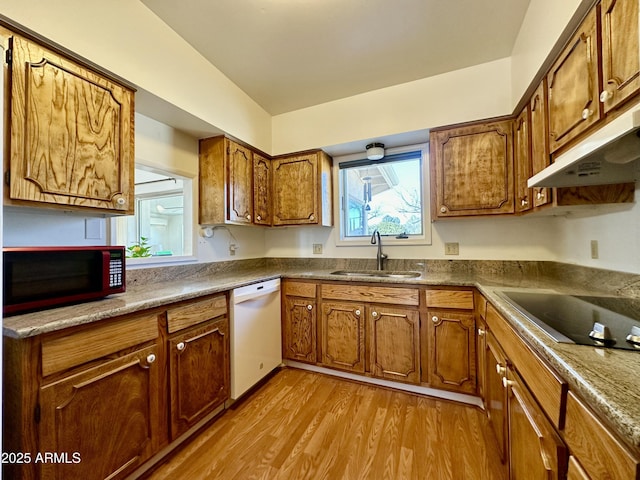 kitchen with black electric stovetop, dishwasher, sink, and light hardwood / wood-style flooring