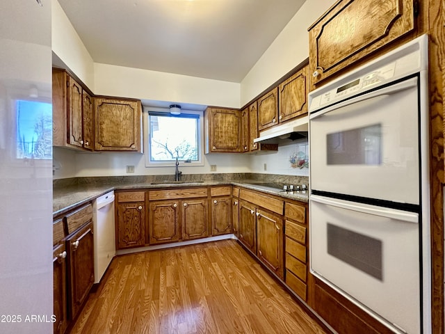 kitchen with sink, hardwood / wood-style floors, and white appliances