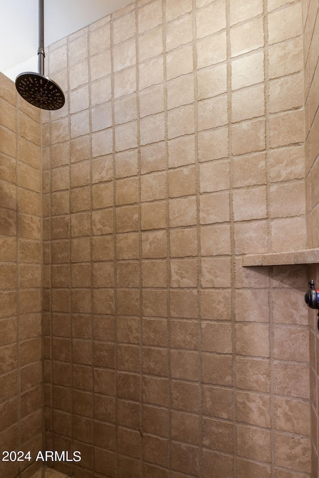 interior details featuring tiled shower