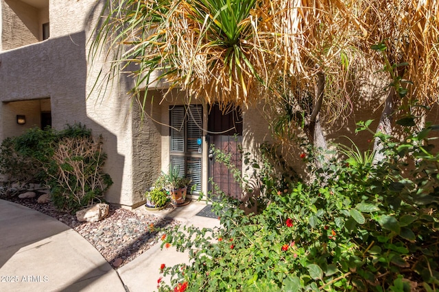 1401 E Puget Ave Unit 4, Phoenix, AZ 85020 - doorway to property with stucco siding
