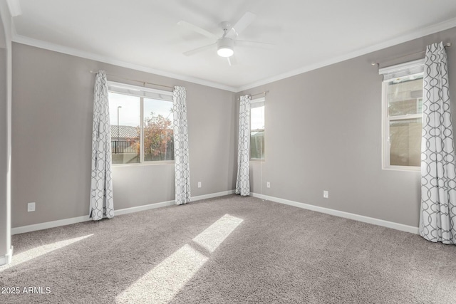 spare room with ceiling fan, ornamental molding, and carpet