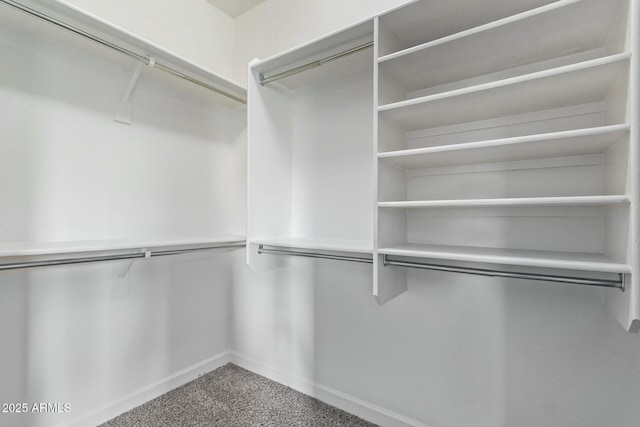 spacious closet with carpet floors