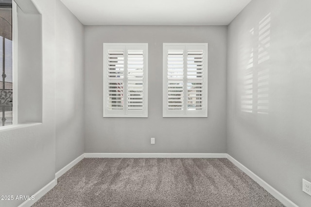 unfurnished room featuring carpet