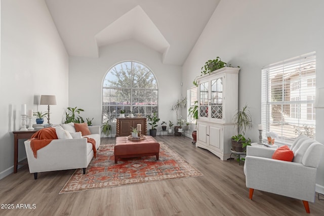 living room featuring hardwood / wood-style flooring, a healthy amount of sunlight, and high vaulted ceiling