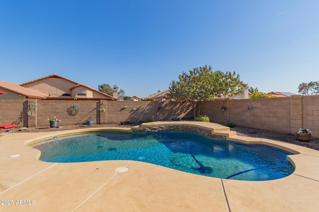 view of swimming pool featuring a patio area