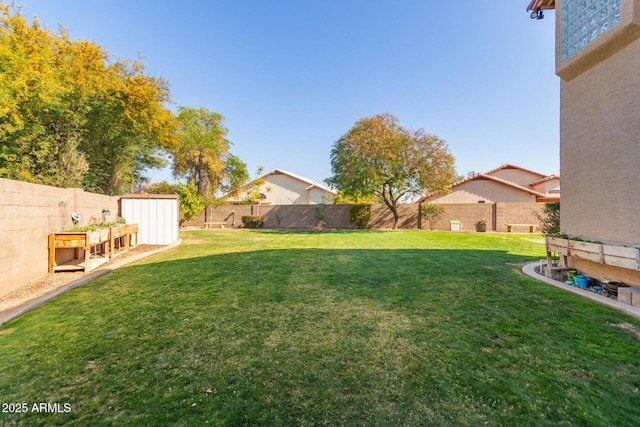 view of yard featuring a storage unit