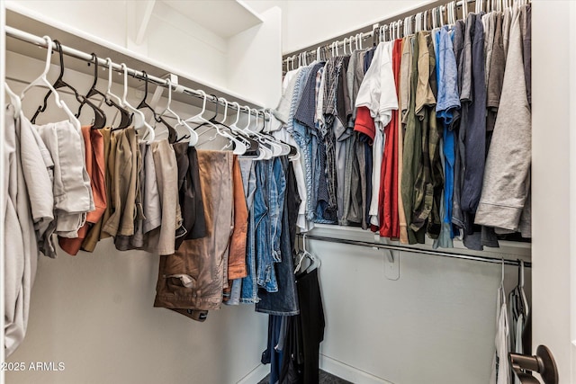 view of spacious closet